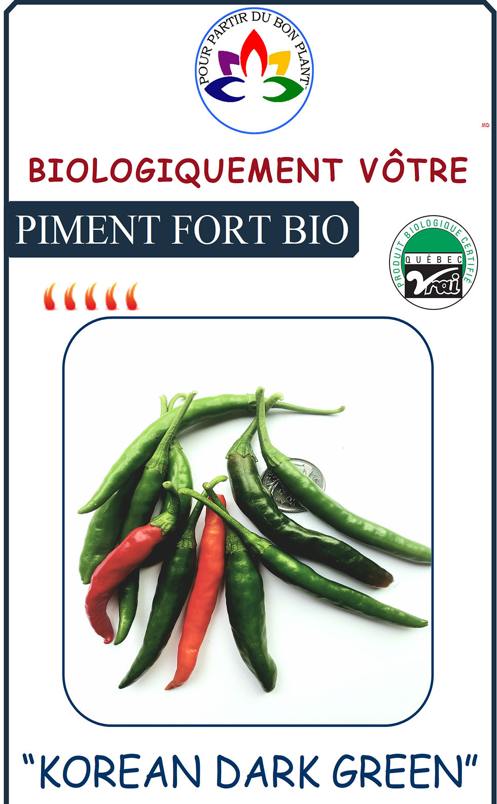 Miniature : Piment fort de F à K Biologiquement Vôtre