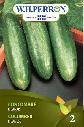Miniature : Concombre W.H.Perron