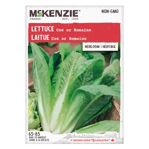 Miniature : Laitue Mckenzie