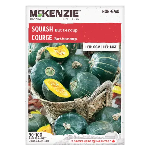 Miniature : Courge/ Courgette Mckenzie