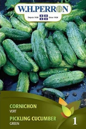 Miniature : Concombre W.H.Perron