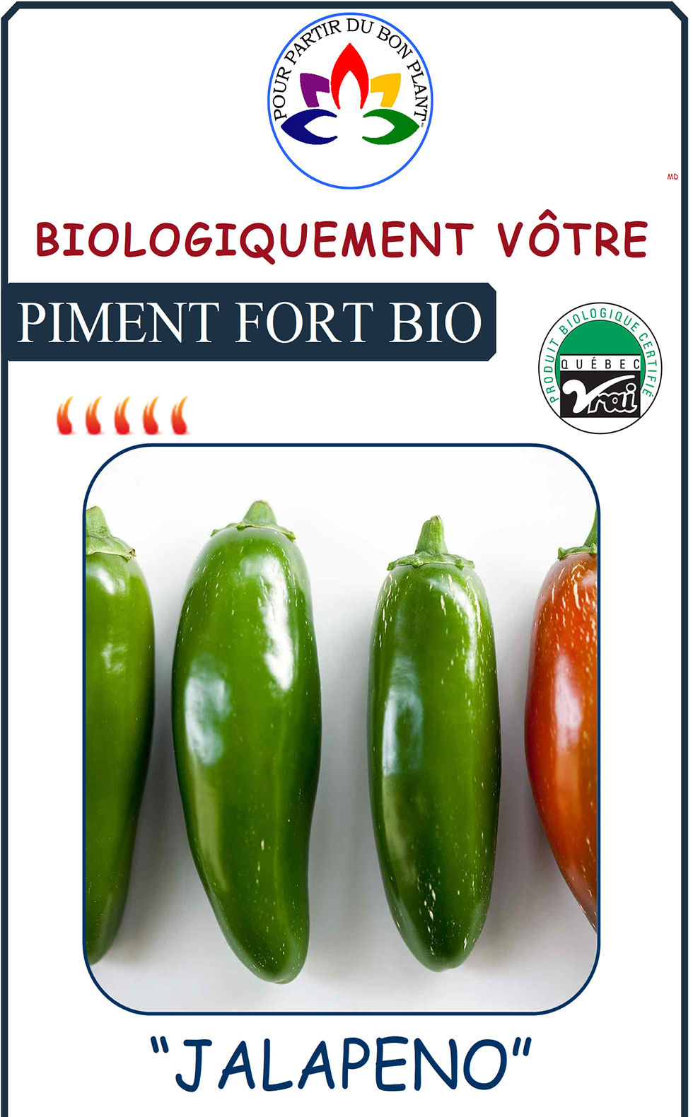 Miniature : Piment fort de F à K Biologiquement Vôtre