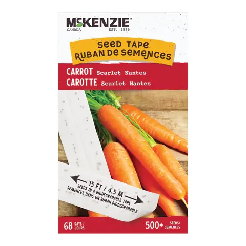 Miniature : Carotte Mckenzie