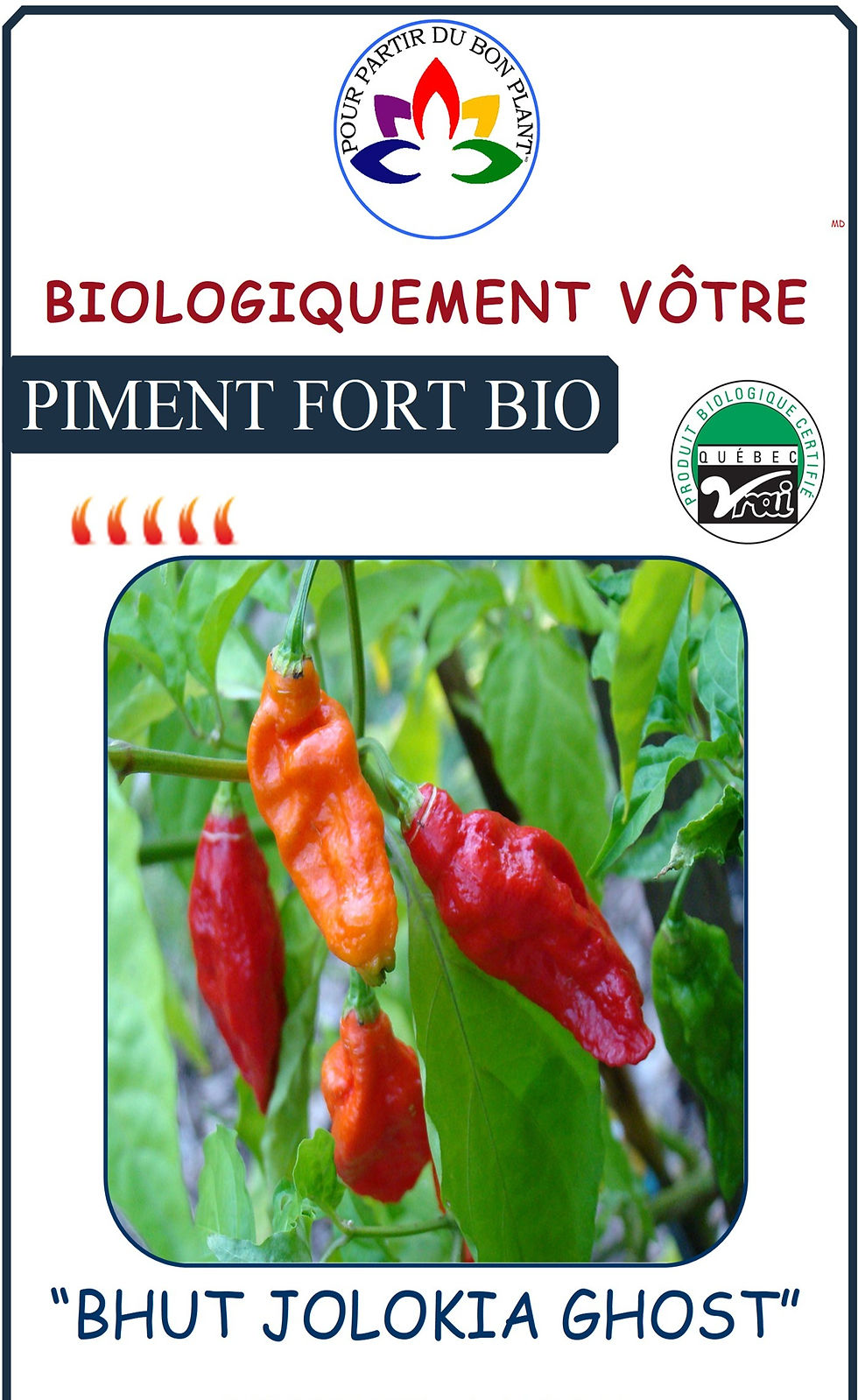 Miniature : Piment Fort de A à E Biologiquement Vôtre