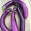 Miniature : Aubergine Tourne-Sol