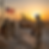 wide view of US military