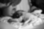 2026_02_12_2227-ZW - LR 1920px SITE NOLOGO.jpg