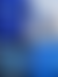 Color Story #1 – Cobalt Blue: The Calm Beneath Brilliance