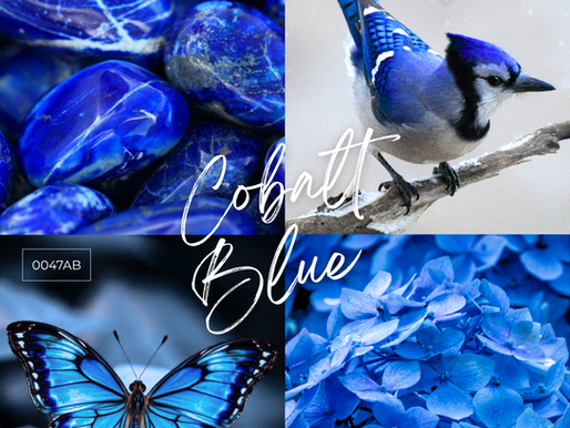 Color Story #1 – Cobalt Blue: The Calm Beneath Brilliance