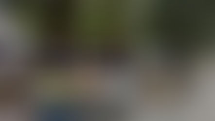 Semillas de Alegría