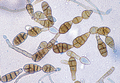260a39d969ea35531d9ad11698b03e68.gif