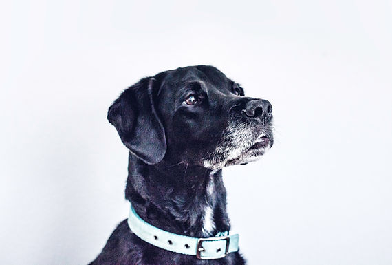 Häufig gestellte Fragen