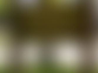 Anna Jean Cummings Park