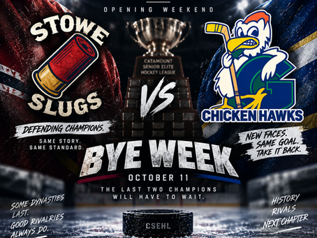 SLUGS vs. CHICKEN HAWKS