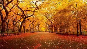 Fall Inspires Reconciliation 