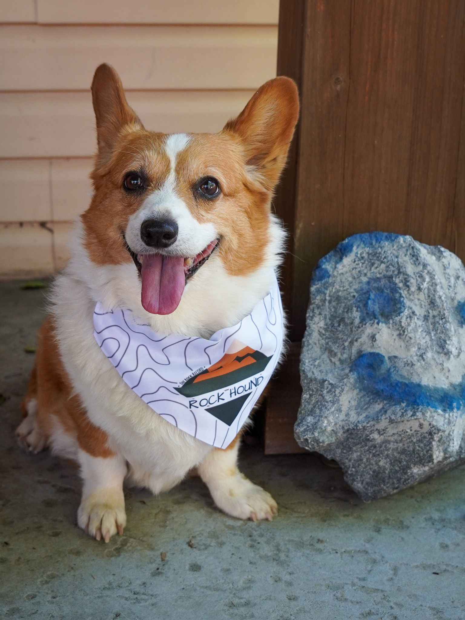 Rockhound Pet Bandana w/ Collar