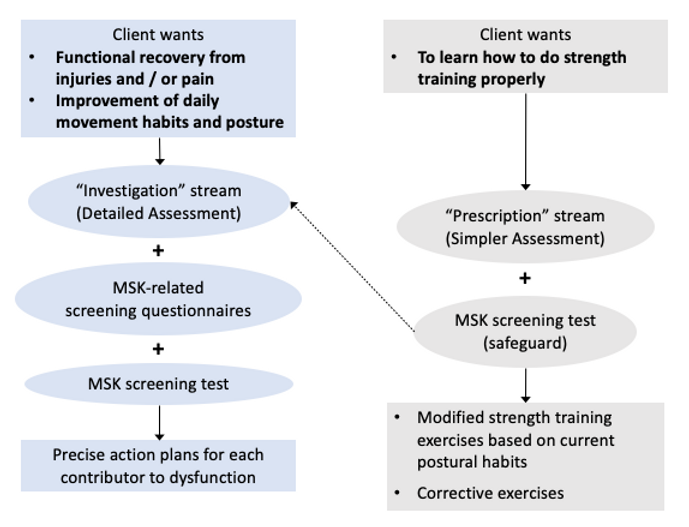 Movement Assessment: A Key Element for