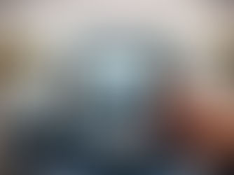 Update on DVSA trial for image capture system.