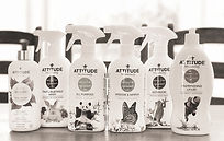 Attitude Bathroom Cleaner_edited_edited.