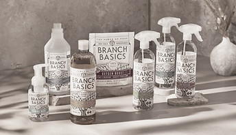 Branch Basics Cleaning Kit_edited.jpg