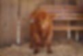 image1 (5).jpeg