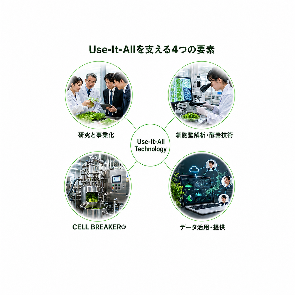 ChatGPT Image 2026年7月30日 15_43_39.png