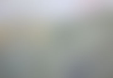 「春空(しゅんくう)」