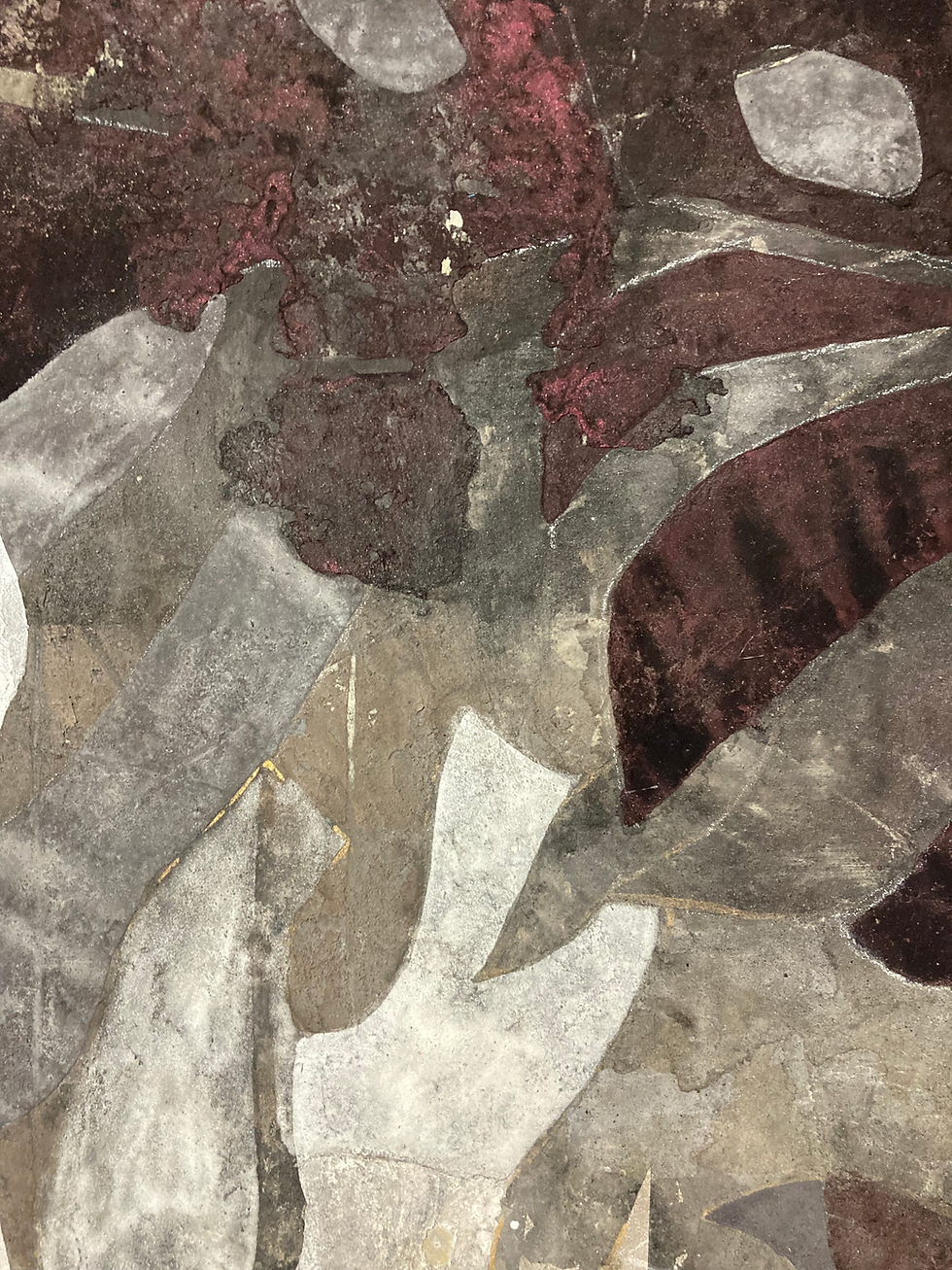 サムネイル： 鳳来蕉（ほうらいしょう） / Monstera