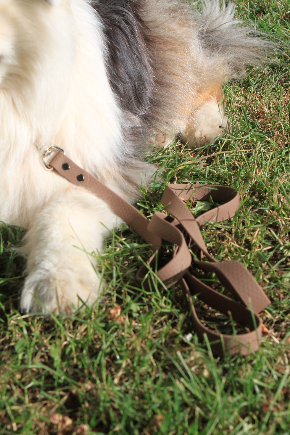 Miniature : Laisse simple uni ou bicolore