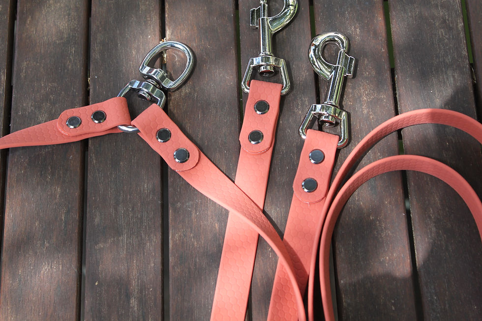 Miniature : Laisse pour deux chiens avec touret double