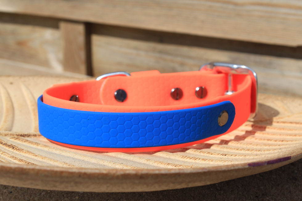 Miniature : Collier GIOIA ( bicolore )