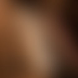 Historische Recherchen