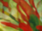 "Indian Paintbrush" Detail