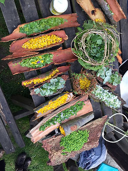 Spring foraging on The Old Way