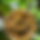 Thumbnail: 8 oz Glass jar of Batana Oil
