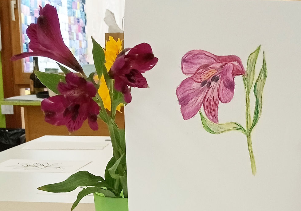 Il·lustració botànica