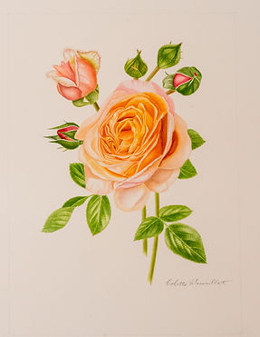 Fleurs and Arts-6.JPG