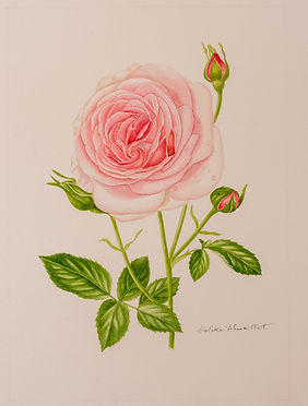 Fleurs and Arts-7.JPG