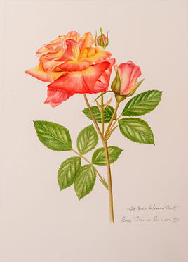 Fleurs and Arts-3.JPG
