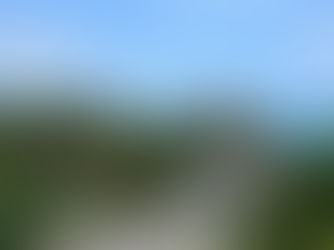 3 semaines au Mexique