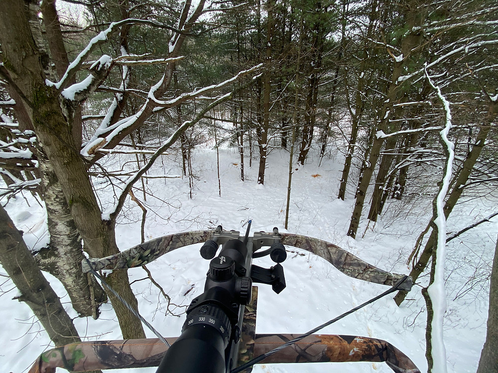 View from tree stand with snow covering the ground.