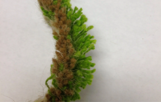 Thumbnail: Unique Jute Trim Natural and Green