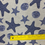 Thumbnail: Navy Starfish and Sand Dollar