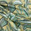 Thumbnail: Cypress Kiwi Foliage