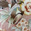 Thumbnail: Passerine Pavillion Blush