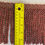 Thumbnail: Red and Gold Bullion