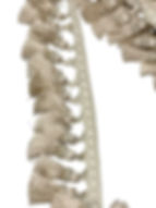 Cloud Tassel Trim - Neutral Fringe Trim