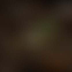 A seedling breaking through rich soil, captioned: “Build from the root, not the ruin.”