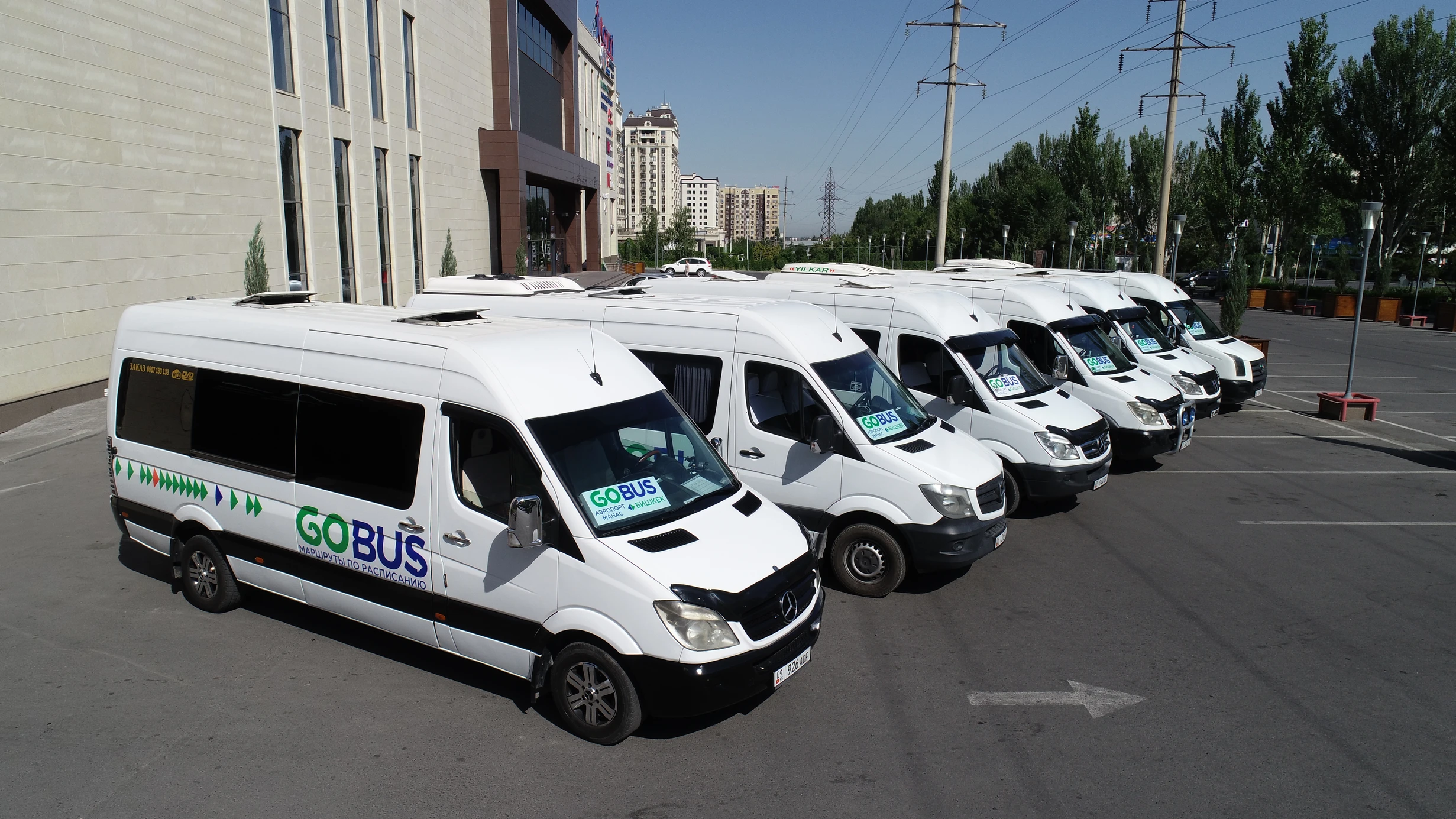 gobus.webp
