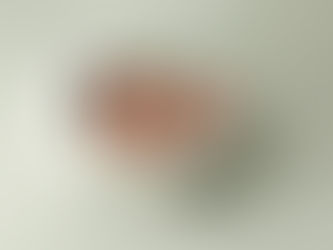 Capturing Timeless Moments: A Newborn Photography Session to Cherish Forever